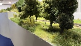 IMG_0818.jpeg