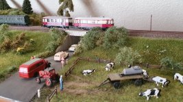 20231229_130422.jpg 20231229_130422.jpg