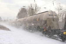 Im Schneegestöber Rbf Berlin-Wuhlheide(3).jpg