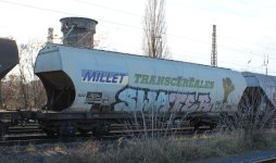 millet-transcereales2.jpg