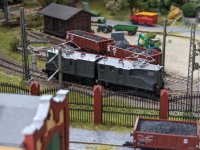 TTS2403003.jpg