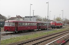 AiA2_MG_3684.jpg