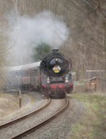 IMG_0534.jpeg