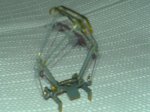 DSC01668.JPG