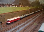 DSC00872.jpg