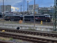 IMG_7282.jpeg