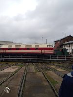 IMG_20240601_113729_154.jpg
