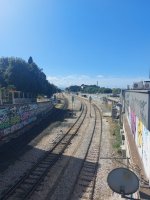 20240601_094926.jpg