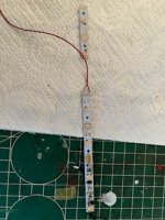 IMG_9510.jpeg