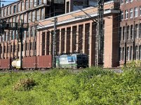 IMG_4693.jpeg