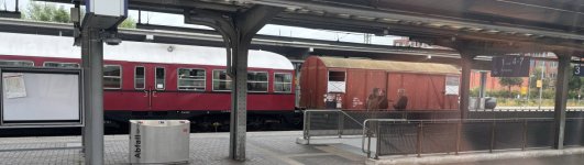 IMG_4579.jpeg