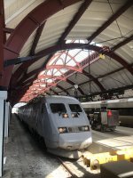 IMG_5038.jpeg