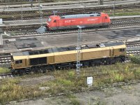IMG_1484.jpeg