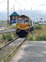 IMG_1494.jpeg