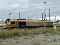 IMG_1495.jpeg