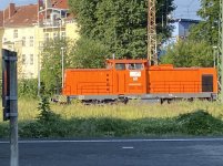 IMG_7147.jpeg
