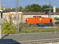 IMG_7146.jpeg