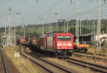 IMG_2635.JPG