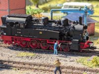 PXL_20240810_050442509.jpg PXL_20240810_050442509.jpg