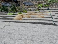DSCN1130.JPG