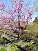 DSCN1139.JPG
