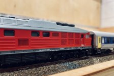 IMG_6023.jpeg