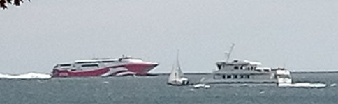 IMG_20240623_131255_829.jpg