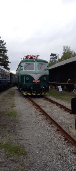 20241005_154715.jpg 20241005_154715.jpg