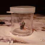 20241201_215552.jpg 20241201_215552.jpg