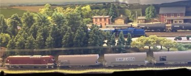 IMG_3233.jpeg