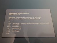 F61_PXL_20241219_112813520.MP.jpg