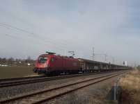 20250223_123805.jpg