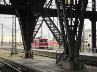 IMG_3329.jpeg