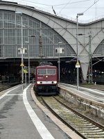IMG_3338.jpeg