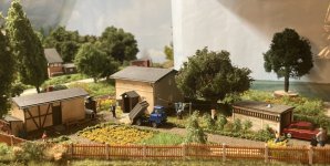 IMG_4238.jpeg