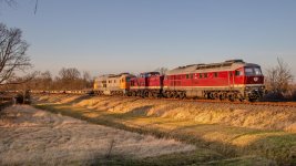 IMG_5210-Verbessert-RR.jpg