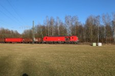 20250305155542_IMG_3783.JPG