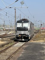 IMG_3400.jpeg