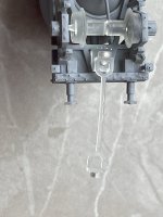 IMG_2904.jpeg