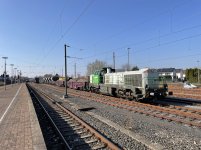 IMG_7363.jpeg