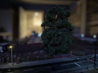 IMG_5355.jpeg