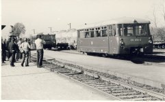 LVT 171 010.jpg