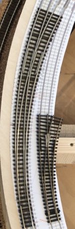 IMG_1467.jpeg
