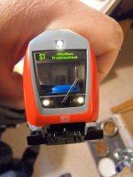 20250424_153153.jpg