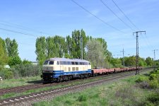 218 480-2 Rbf Berlin-Wuhlheide.jpg