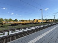 IMG_3752.jpeg
