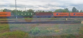 20250519_110959.jpg