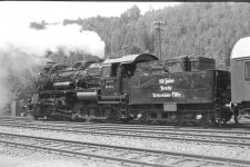 sw54008.jpg