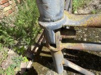 IMG_8810.jpeg