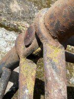 IMG_8812.jpeg